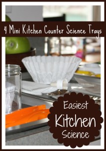 kitchen counter science trays