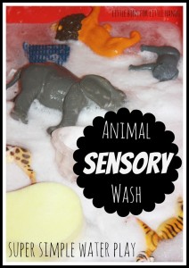 Animal wash sensory play activity