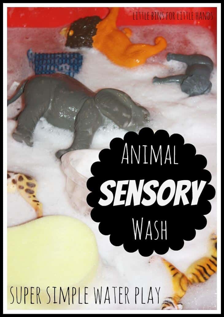 Animal Wash Sensory Play Acivity for Kids Activities