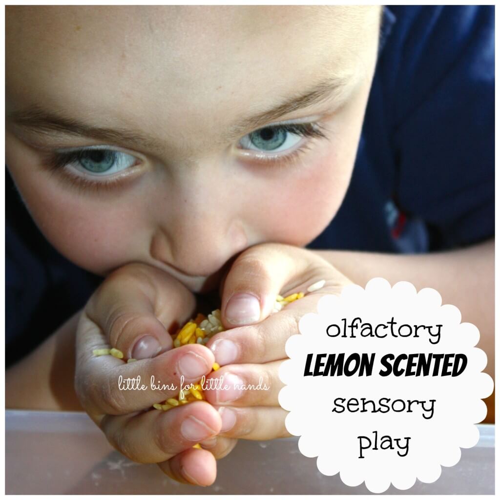 Lemon Scented Rice Sensory Play Smelling Activity