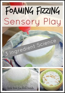 foaming fizzing sensory play Activity 3 ingredients