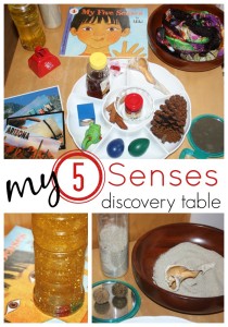 5 senses activity discovery table