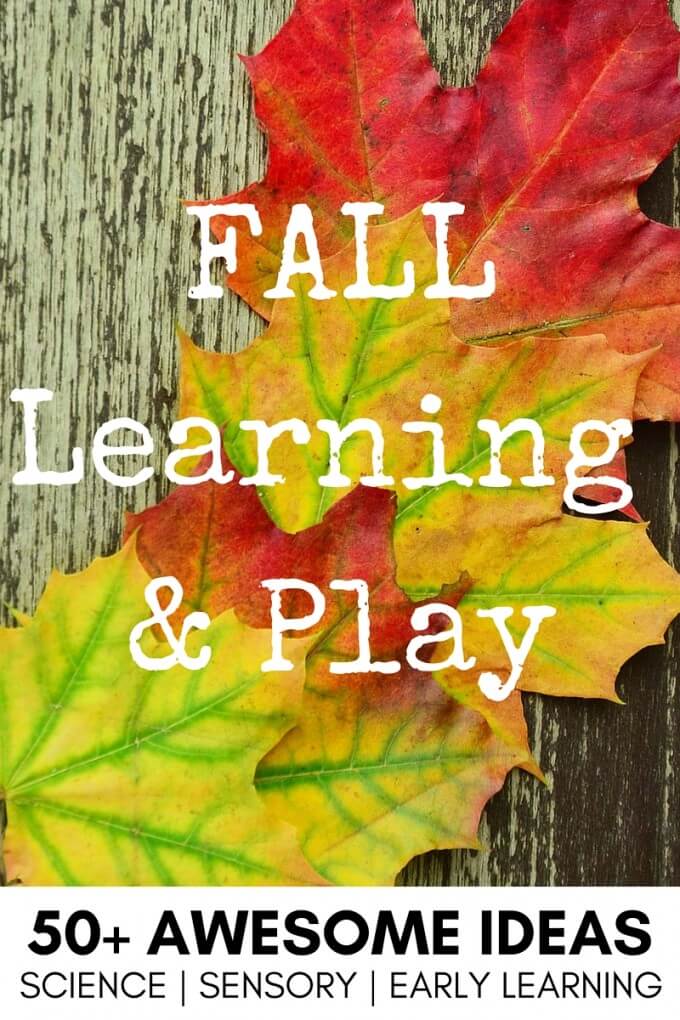 Fall sensory play ideas for science, bins, literacy, math, fine motor and more.