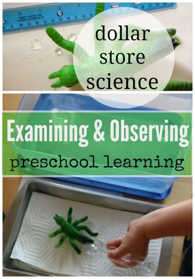 dollar store preschool science activity