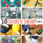 10 favorite sensory bins