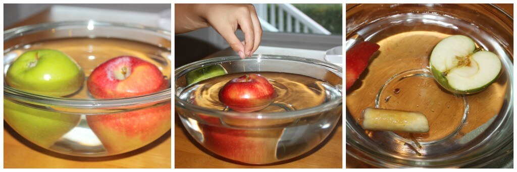 Apple Science Activity Sink And Float