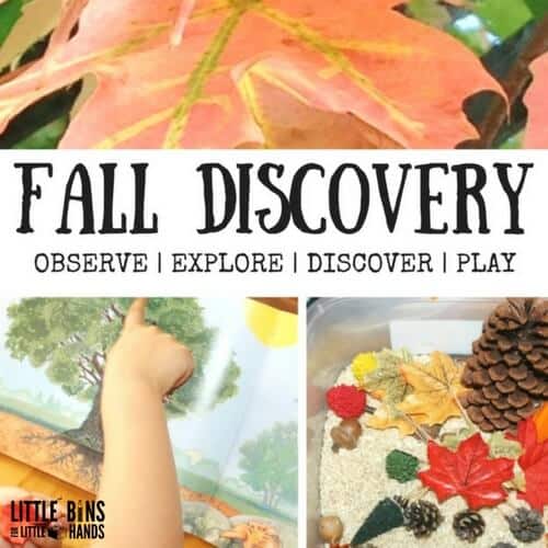 Fall Activity For Changing Leaves & Trees