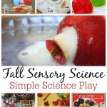 Fall Science Sensory Play Collection Apples, Fall, Nature