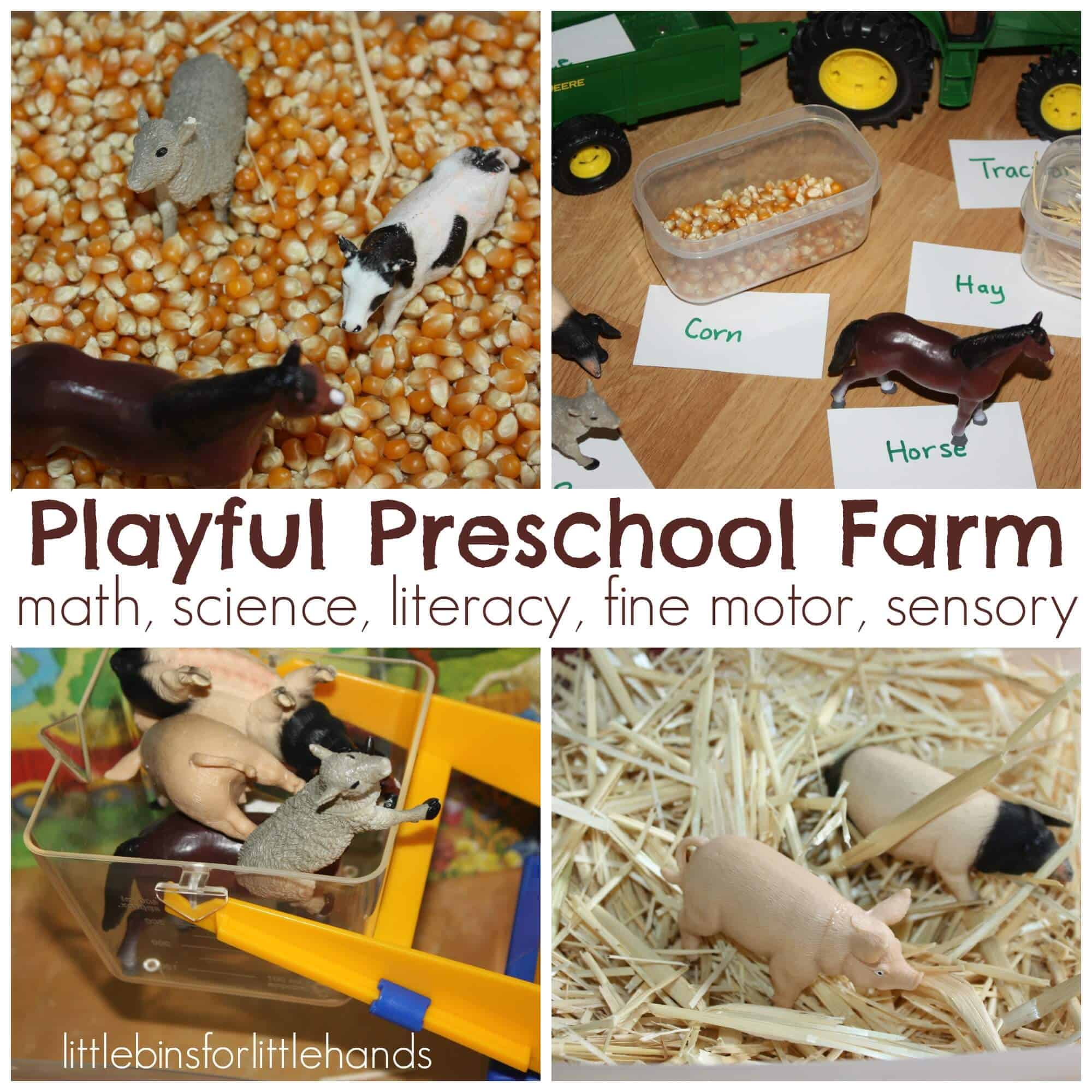 Farm Activities For Preschoolers - Little Bins for Little Hands