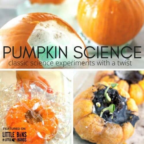Pumpkin Science Experiments and Activities for Fall STEM