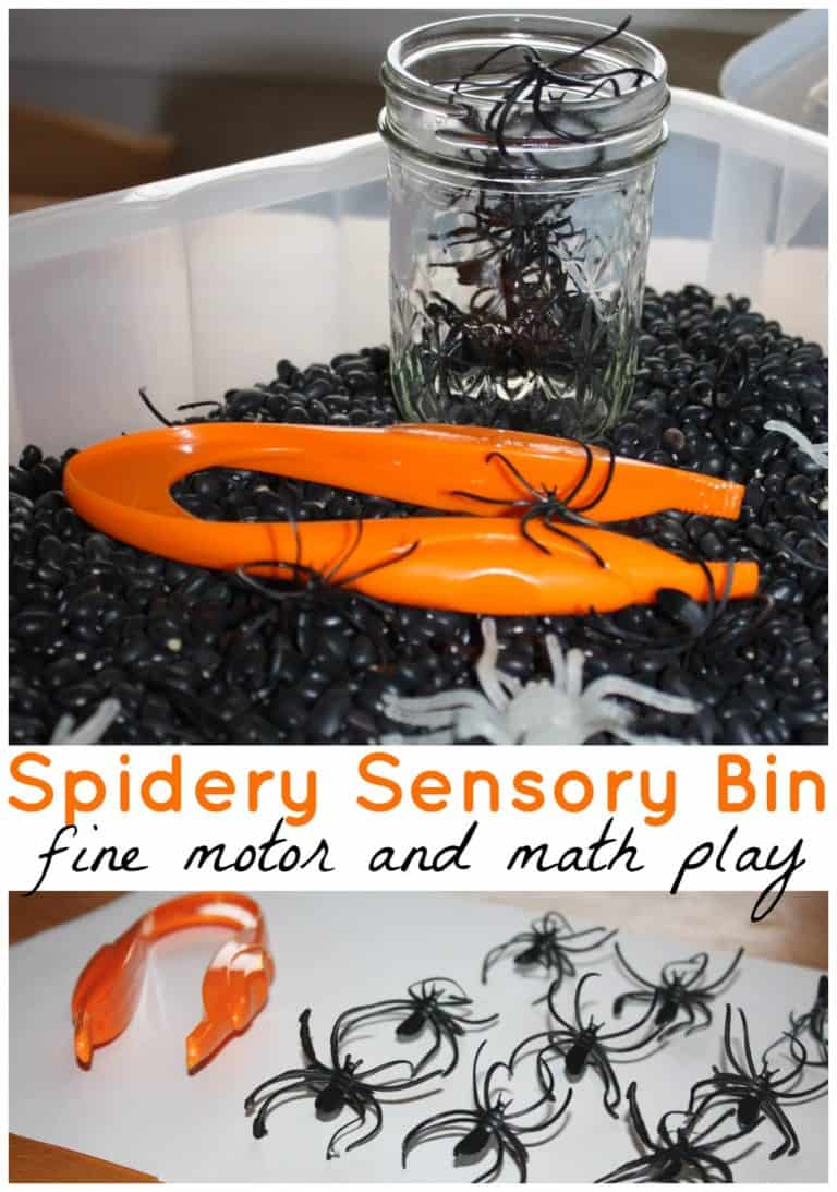 Spider Sensory Bin Fine Motor Play