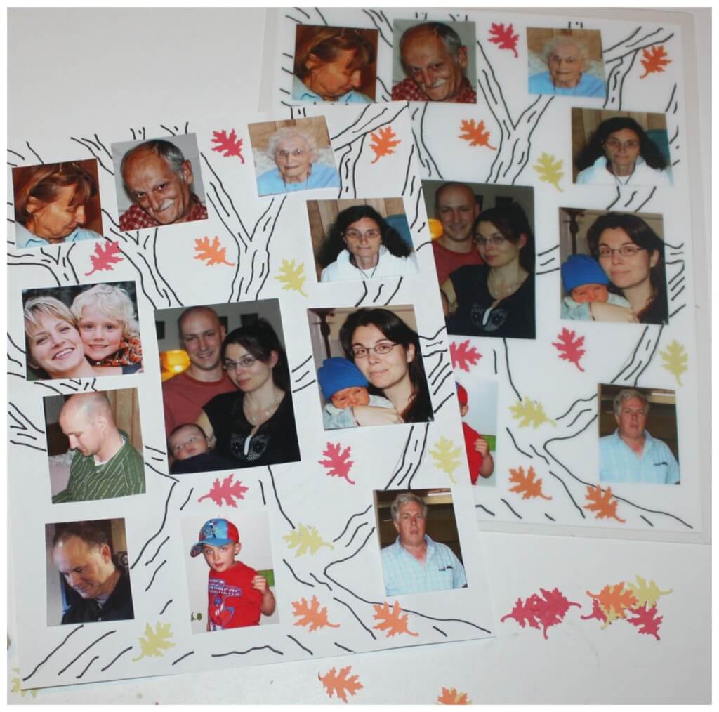 family tree activity project and laminated project