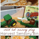 harvest sensory bin for Is Sensory Play Expensive child led