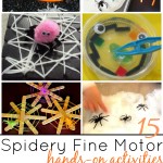 15 Spider Fine Motor Activities hands On Learning And Play