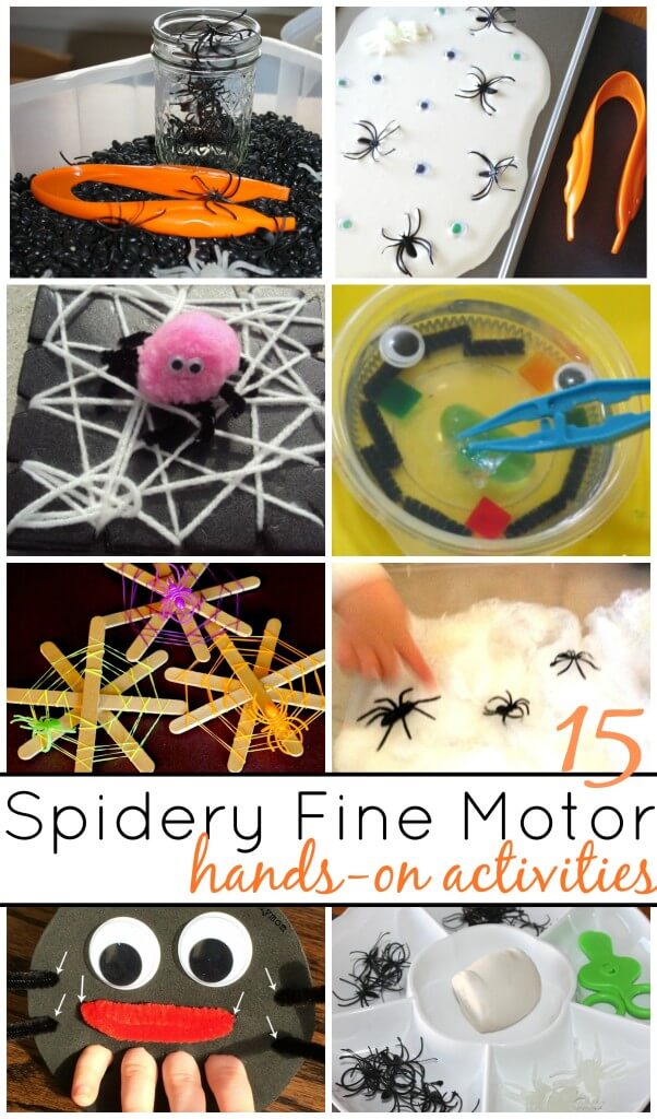 15 Spider Fine Motor Activities hands On Learning And Play