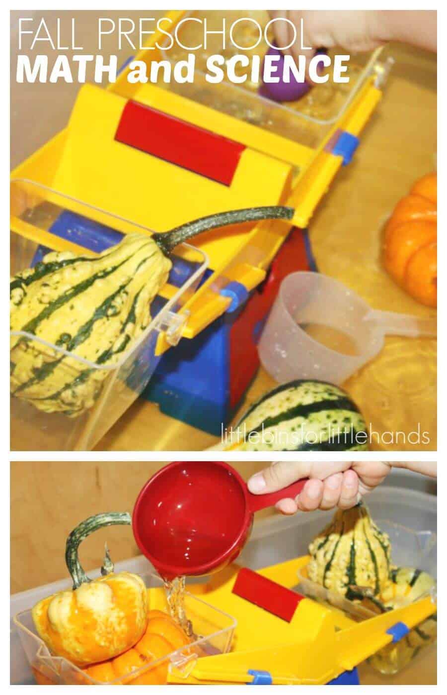 Fall Measuring Water Pumpkins Preschool Math Science Activity