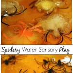 Spider Ice Melt Science Water Sensory Play