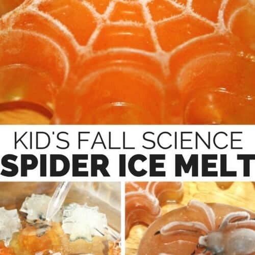 Halloween Spider Ice Melt Activity