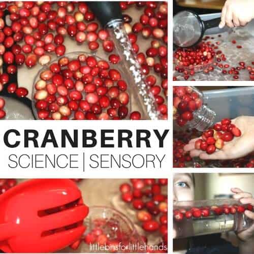 Cranberry Thanksgiving Activities For Kids