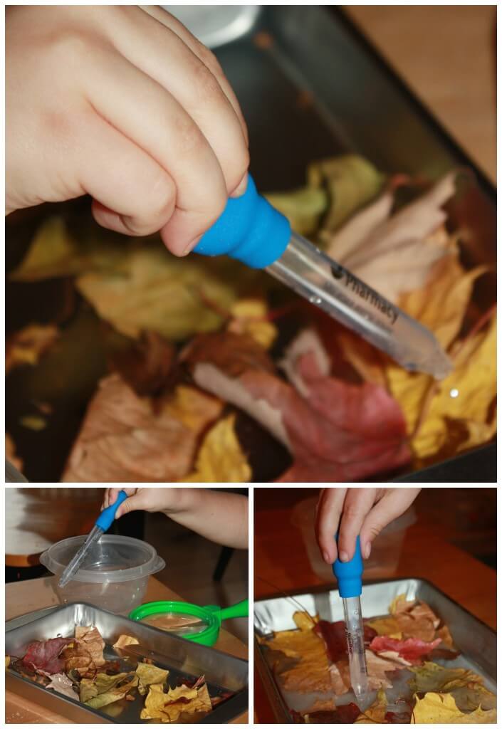 Leaf Activities Eye Dropper Fine Motor Play With Water