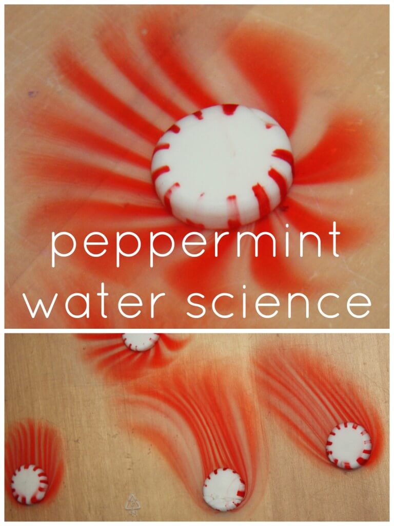 Peppermint Water Science Close Up of Mints