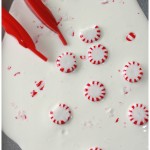 Peppermint oobleck recipe science activity