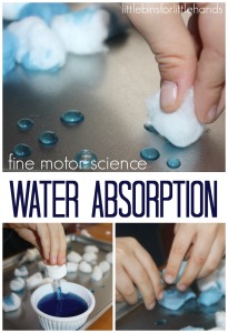 Water Science Water Absorption Fine Motor Science Sensory Play