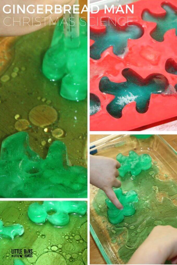 Melting gingerbread man science experiment with oil and water. Explore ice melting along with liquid density in a gingerbread man themed Christmas science activity for toddler, preschool and kindergarten science.