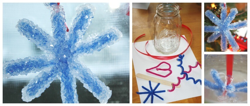 Crystal Snowflake Ornament Set Up Borax Pipe Cleaners