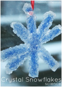 Crystal Snowflake ornament made with borax water pipe cleaners