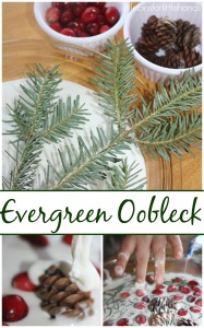 Evergreen oobleck Science Winter Science Sensory Play Christmas Tree Activity