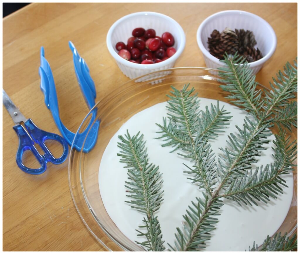Evergreen oobleck science sensory play set up