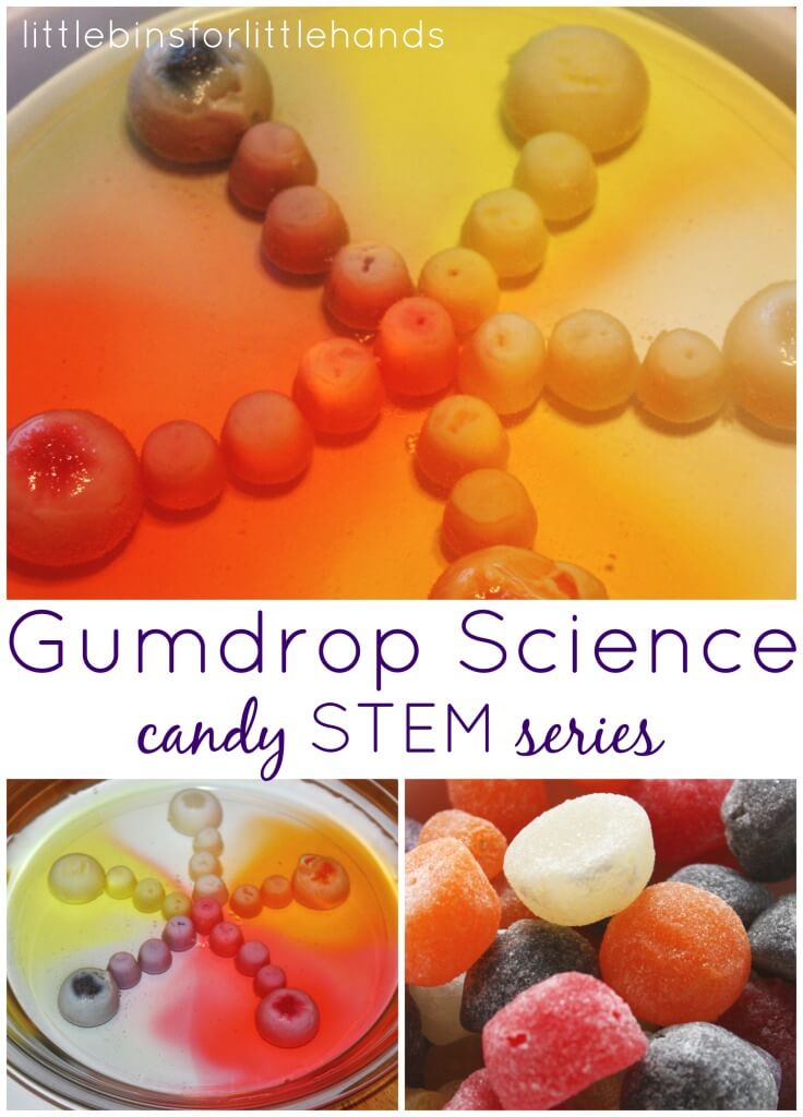 Gumdrop Dissolving Science Candy STEM Ideas