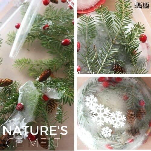Nature Ice Melt Science Activity for Kids Winter Science