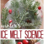 Winter Nature Ice Melt Science Sensory Experiment Water Sensory Play