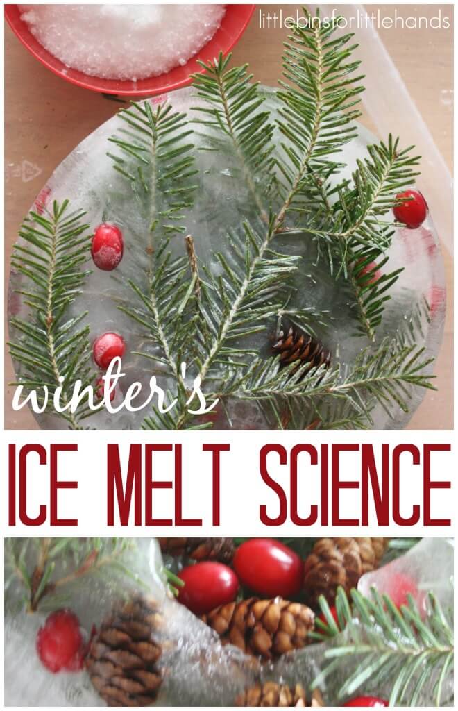 Winter Nature Ice Melt Science Sensory Experiment Water Sensory Play