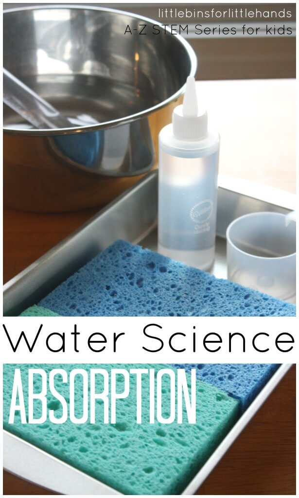 Absorption Science for Kids STEM activity Water Science Experiement