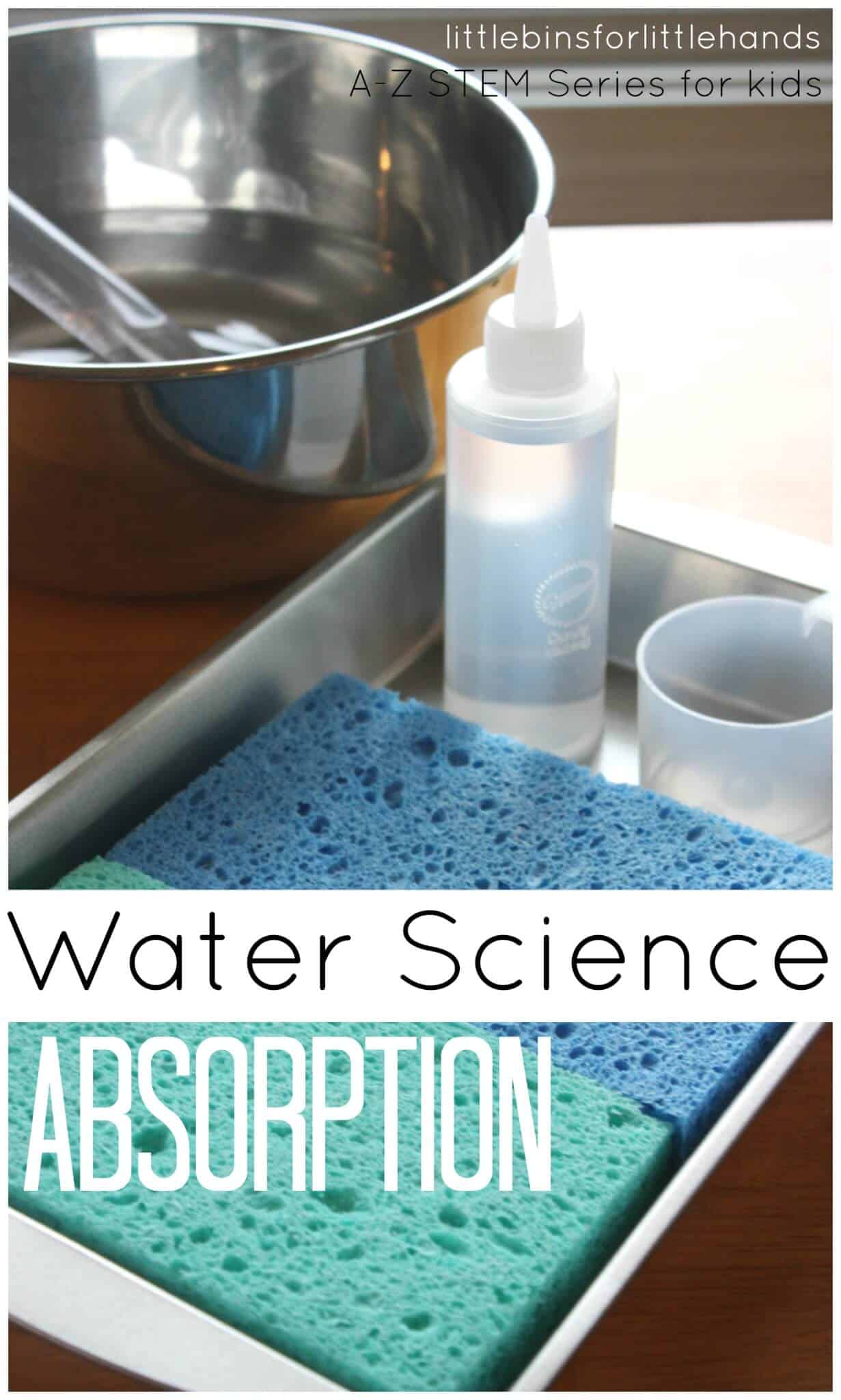 Absorption Science Water Experiment and STEM for Kids
