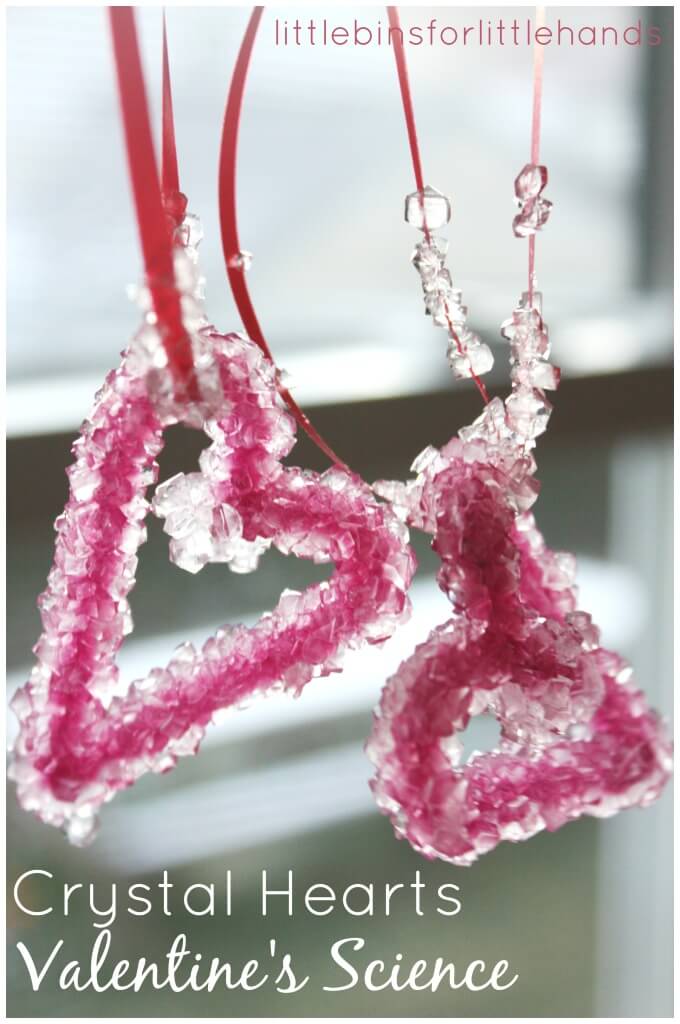 Crystal Science Valentine's Science crystal hearts experiment borax pipe cleaners crystals