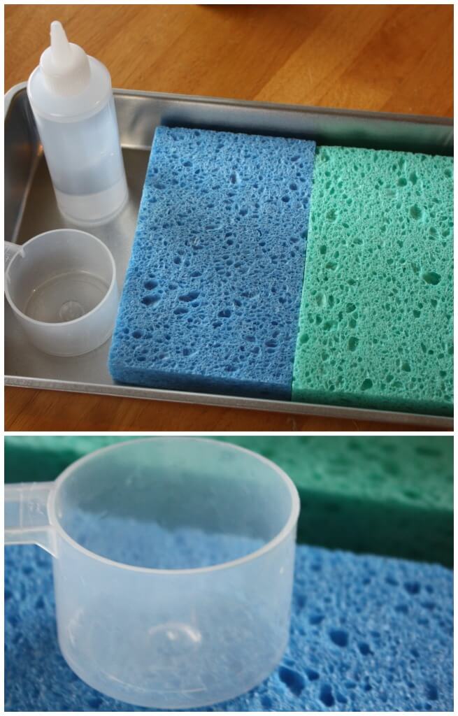 Water Absorption Science Activity Exploring Sponges Science Sensory Activity