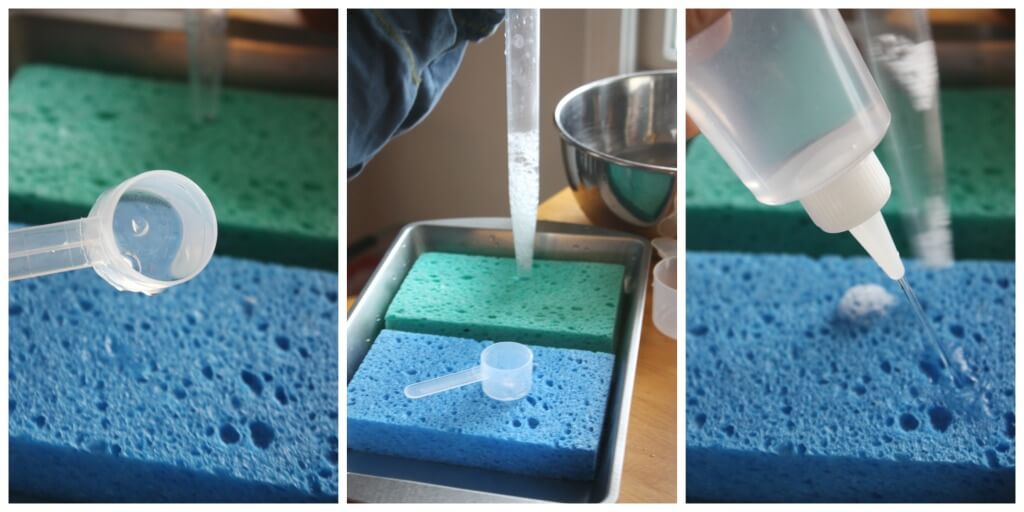 Water Absorption Science Experimenting with Water Volume Sponge Science