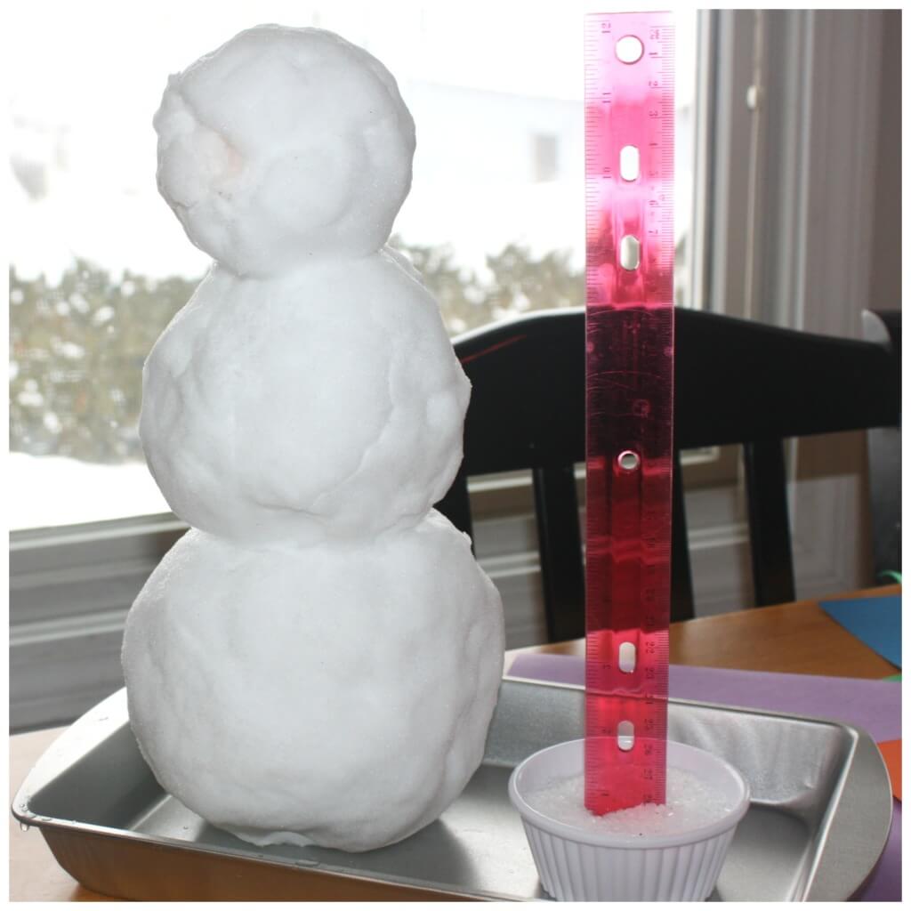 Melting Snowman Science Set Up