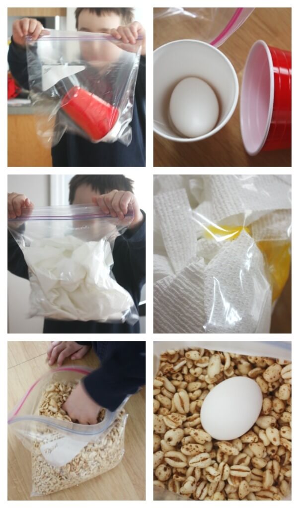 Egg Drop Activity Egg Science Cup Cereal Paper Towels