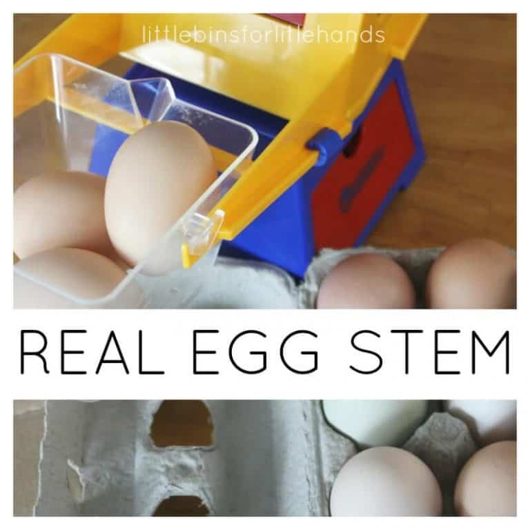 Egg STEM Activities With Real Eggs