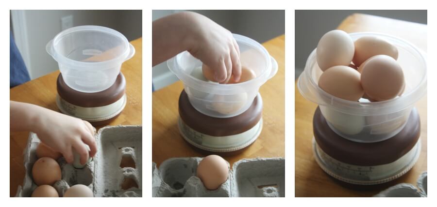 Egg Math Weighing Real Eggs Egg STEM