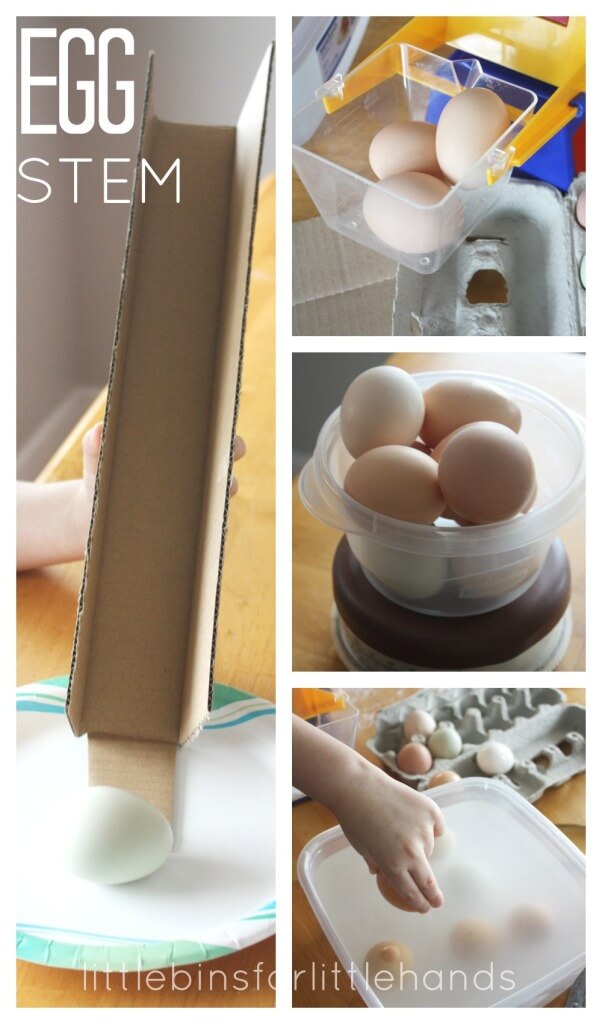 Egg STEM Real Egg Science
