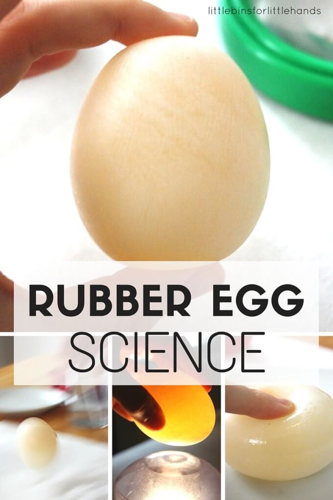 kitchen science with eggs