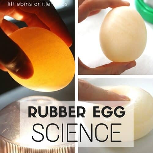Rubber Egg Science via: Little Bins for Little Hands