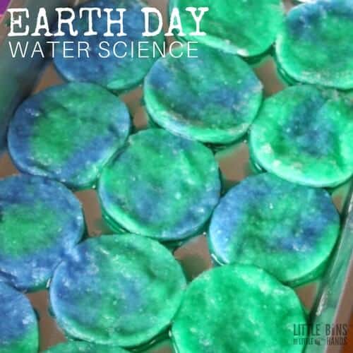 Earth Day Water Absorption Experiment