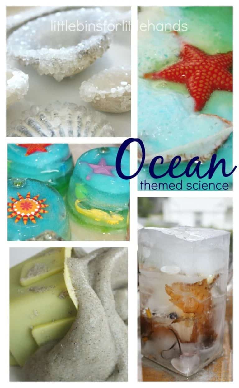 21 Best Ocean Activities and Ocean Crafts